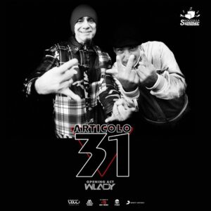 articolo 31