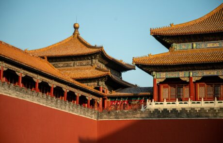 peter-zhou-Uk19VsygF9Y-unsplash
