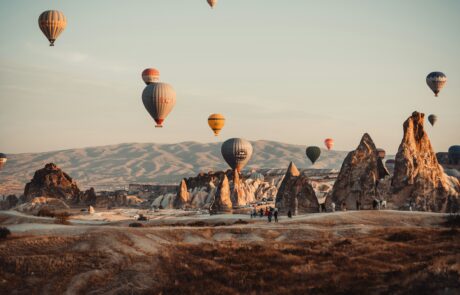 timur-garifov-p2RbLnqWPVY-unsplash